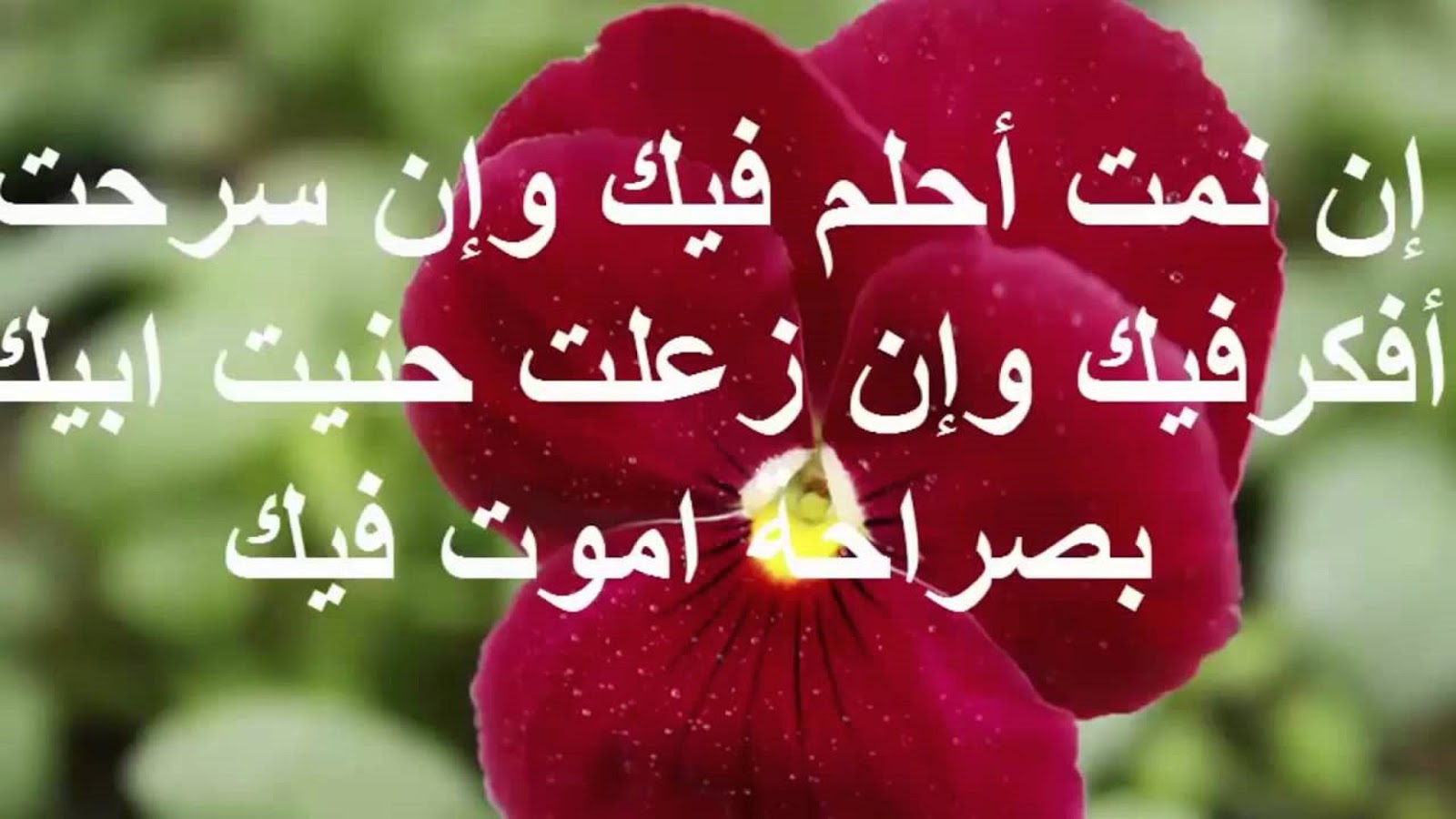 رسائل حب وغرام , اجمل رسائل الحب والغرام الرائعه