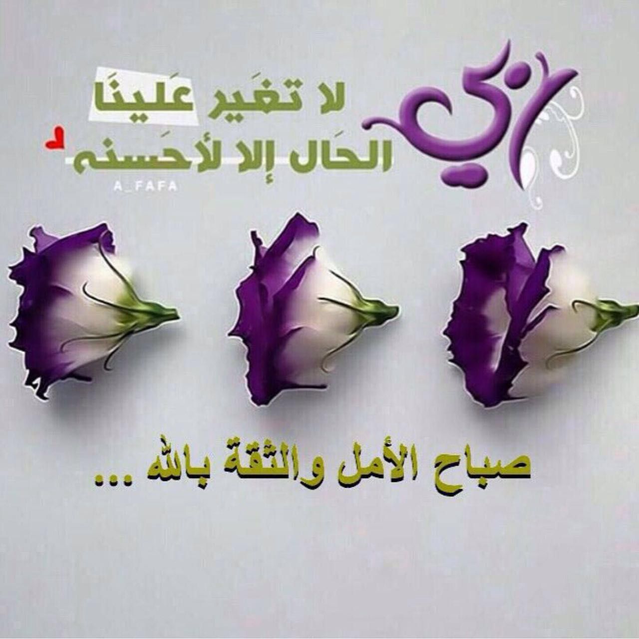 صور صباحيه دعاء-صباح الفل على عيونك 1575 4